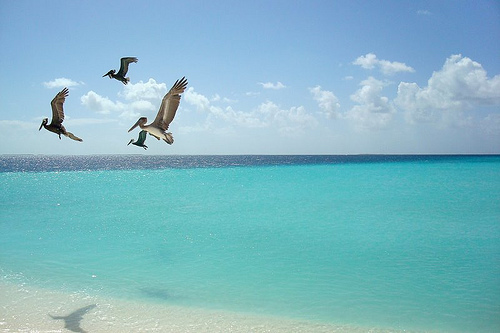Archipiélago Los Roques